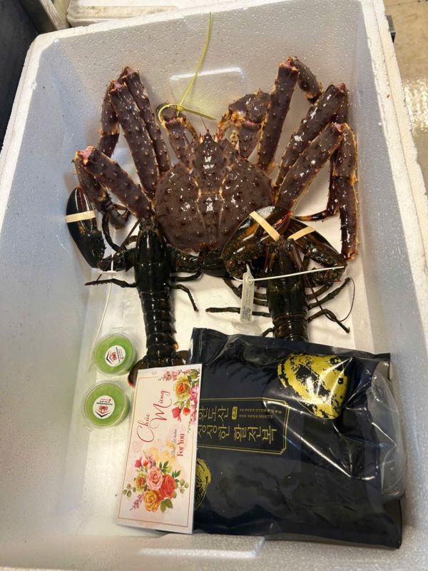 Combo 4 người đẳng cấp