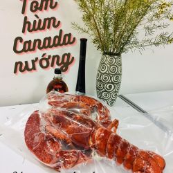 Tôm hùm Canada nướng than hồng
