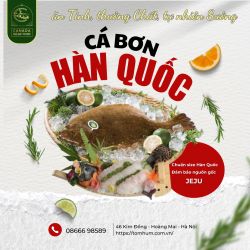 Cá Bơn Hàn Quốc - Ẩm thực của Đảo Jeju