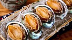 Loại thịt này được đánh giá cao về giá trị dinh dưỡng, với hàm lượng giàu protein