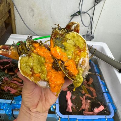 Cua cà mau gạch