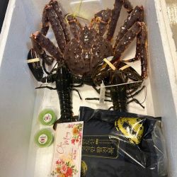 Combo Tiệc Cua Hoàng Đế & Tôm Hùm Alaska – Đỉnh Cao Hải Sản Cho Bàn Tiệc Sang Trọng