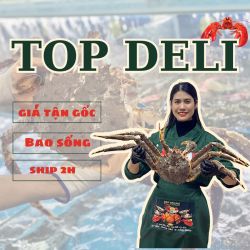 Điều khoản sử dụng