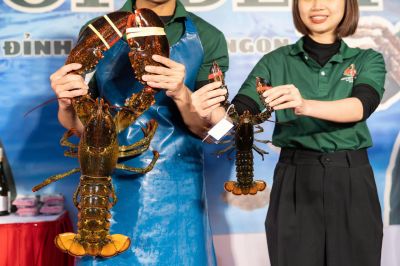 TomHumCa hv 0.66-0.8Kg