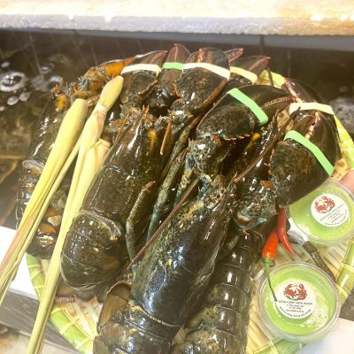 TomHumCa qt 0.57-0.66Kg