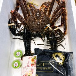 Combo Tiệc Cua Hoàng Đế & Tôm Hùm Alaska – Đỉnh Cao Hải Sản Cho Bàn Tiệc Sang Trọng