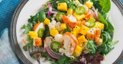 Món salad tôm hùm xoài và hành tím cho ngày oi ả