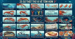 sự thật thú vị về tôm hùm – Phần 1: Bạn hiểu bao nhiêu về loài giáp xác này?