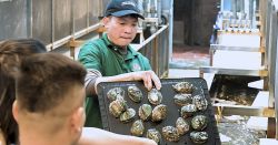 BÀO NGƯ HÀN QUỐC - MÓN QUÀ SỨC KHỎE TINH TẾ CHO NGƯỜI THƯƠNG QUÝ