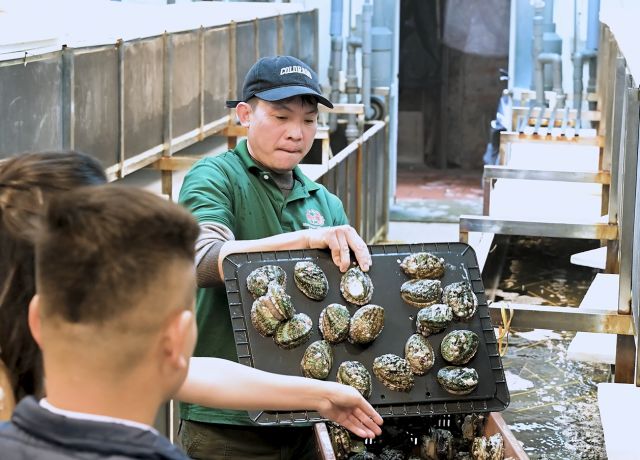 BÀO NGƯ HÀN QUỐC - MÓN QUÀ SỨC KHỎE TINH TẾ CHO NGƯỜI THƯƠNG QUÝ