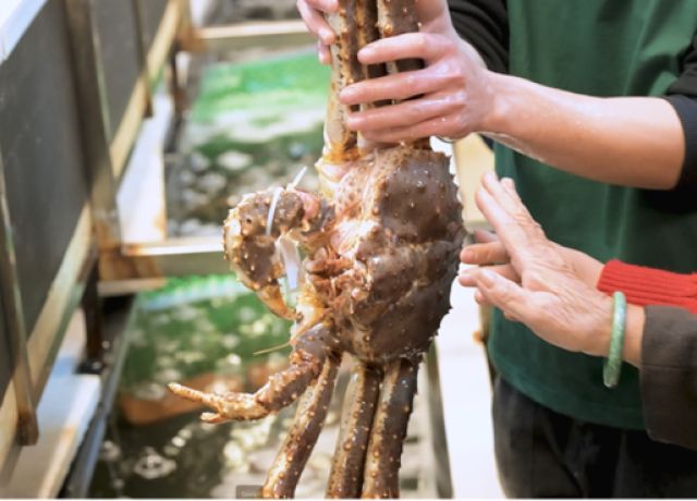 CUA KING CRAB - BÁU VẬT TỪ 'CHUYẾN SĂN BÃO TÁP' ĐẾN BÀN TIỆC GIA ĐÌNH